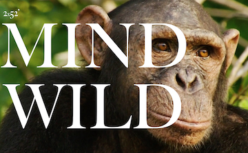 MIND WILD