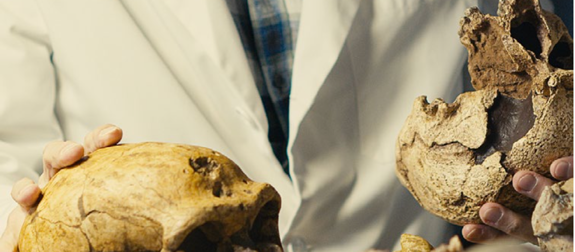 The Last Trances of the Neanderthal